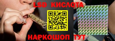 шишки Можга