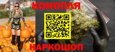 спиды Моздок
