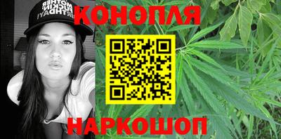 шишки Можга