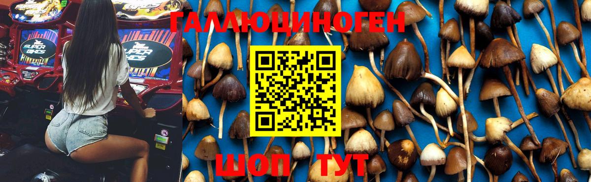 Ставрополь  Галлюциногенные грибы мухоморы  Вход с VPN 